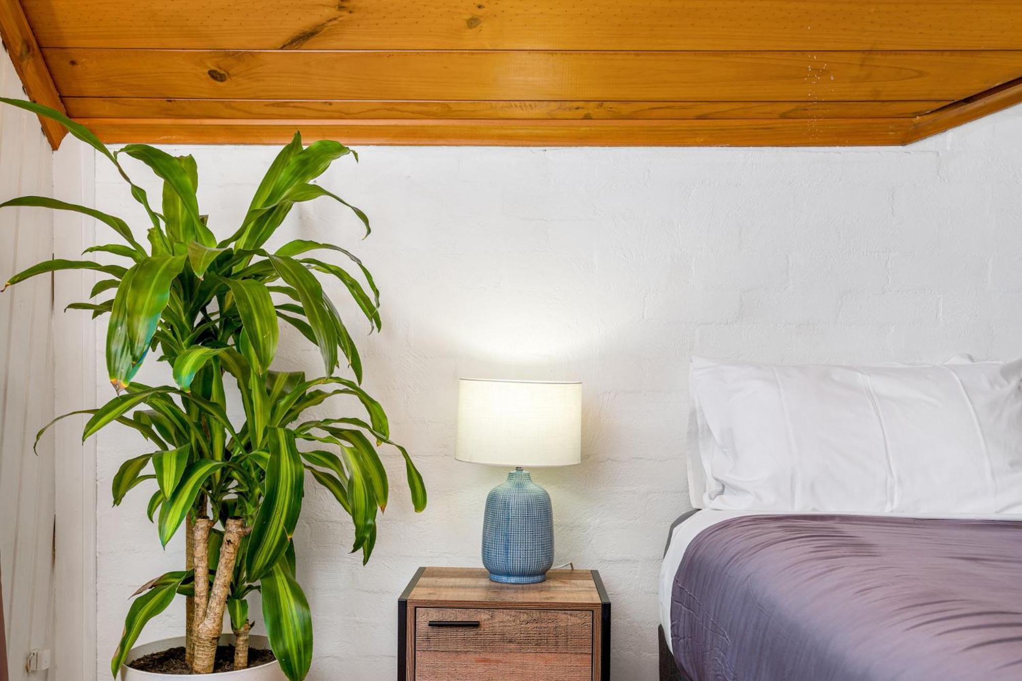 Aquarius Backpackers Resort 拜伦湾 外观 照片